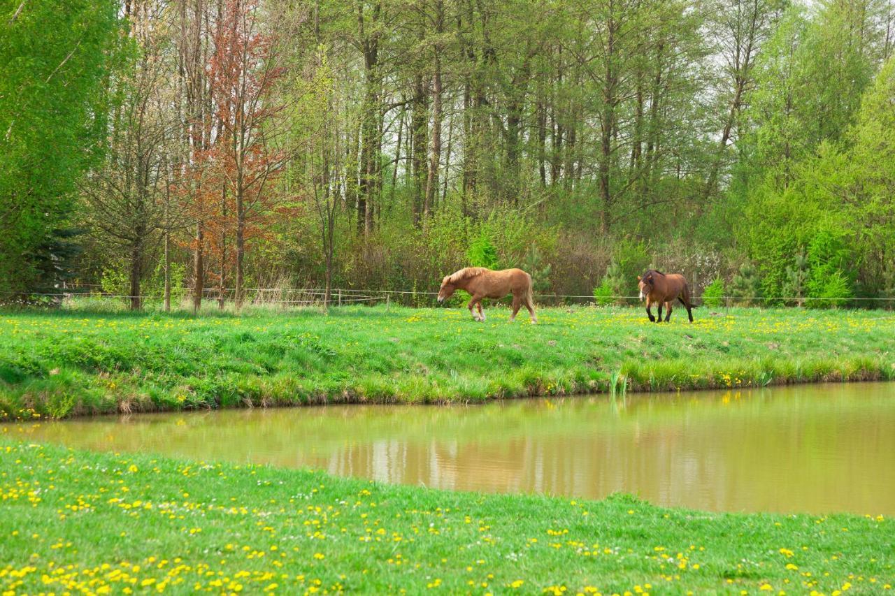 Pensjonat Nad Plaskim Villa Jerzwald ภายนอก รูปภาพ